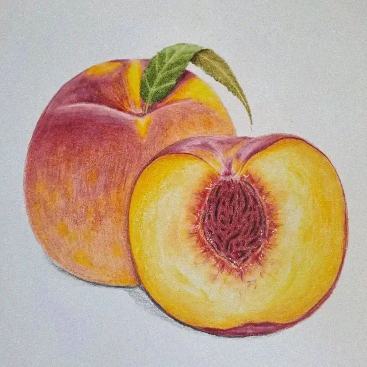 Peaches in Vivid Colors Unveiled