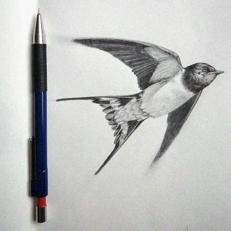 Swallow Soaring Beside the Blue Pen