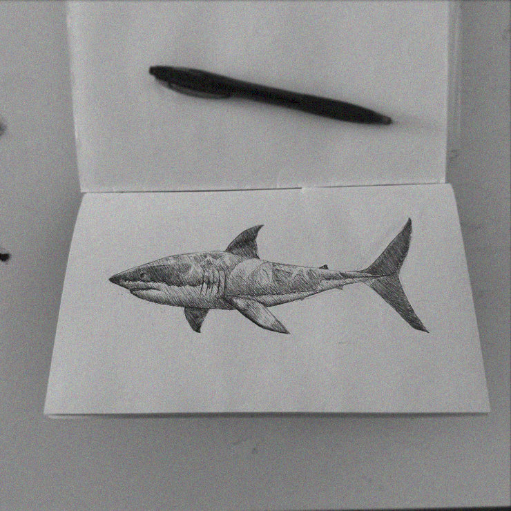 Sketching the Deep Blue Predator