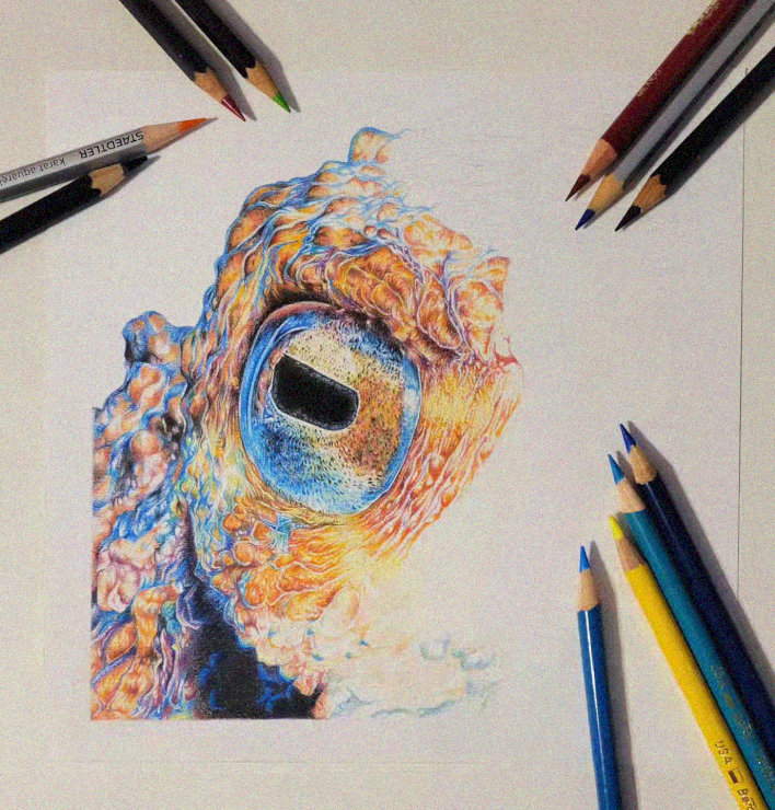 Reptilian Gaze in Pencil Hues