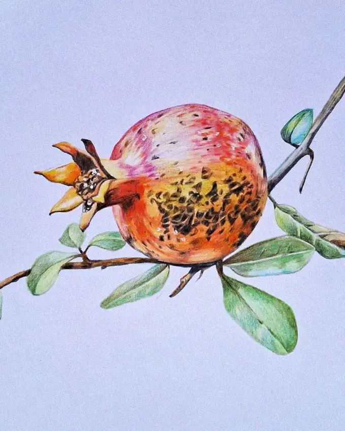 Pomegranate Promise in Realist Artistry