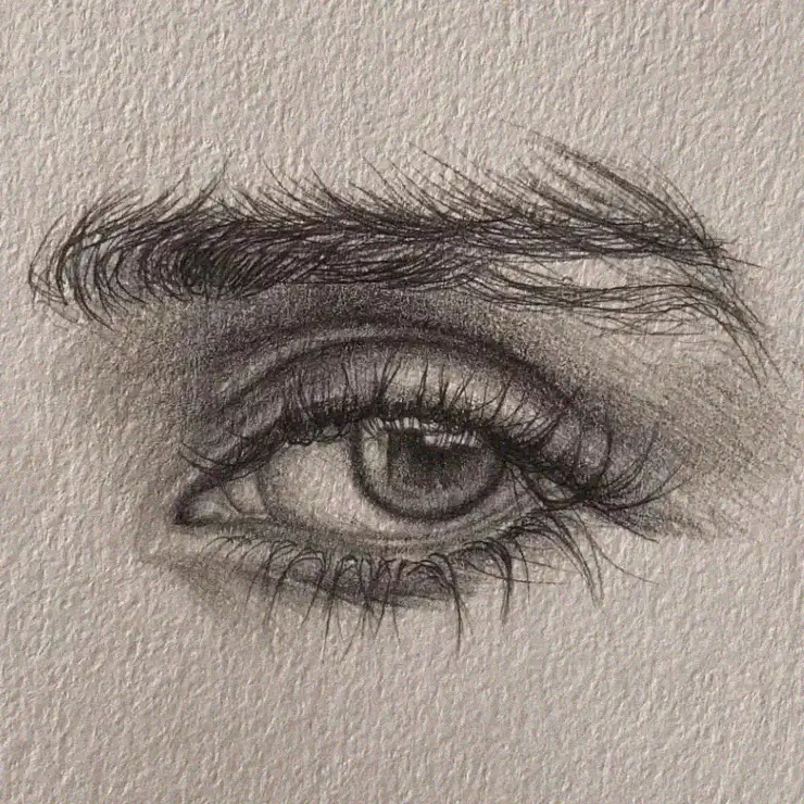 Unveiling Beauty Through Pencil and Eye