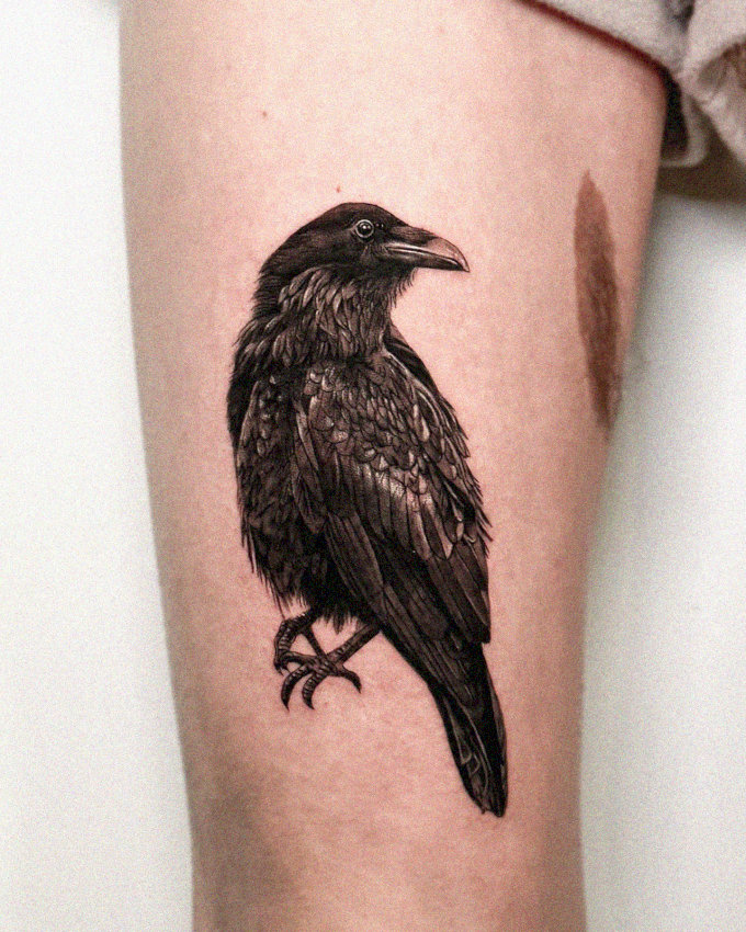 Raven Tattoo Artistry in Monochrome