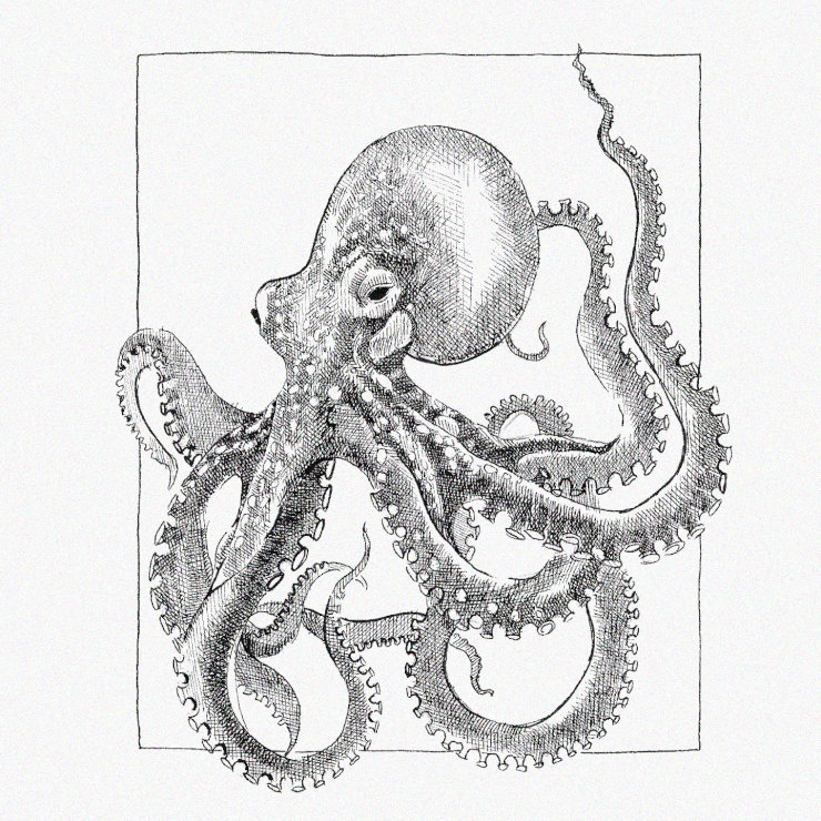 Intricate Octopus Expressed in Pen and Ink