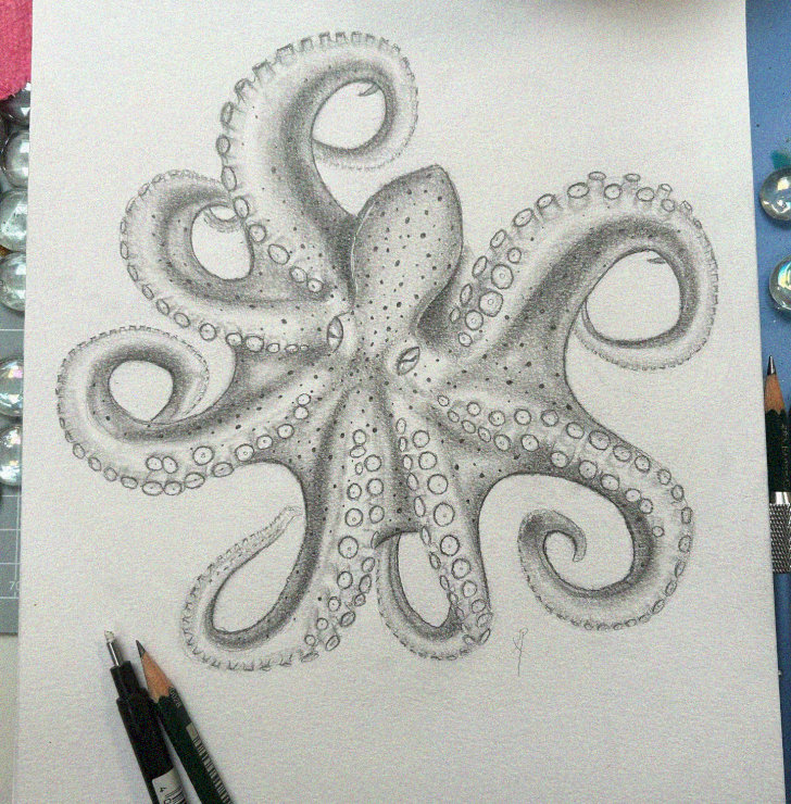 Unraveling Octopus: A Pencil Artistry Showcase