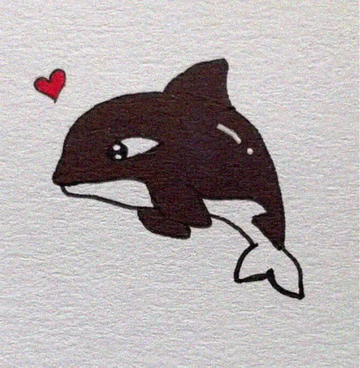 Dolphin's Love Expressed in Simplicity