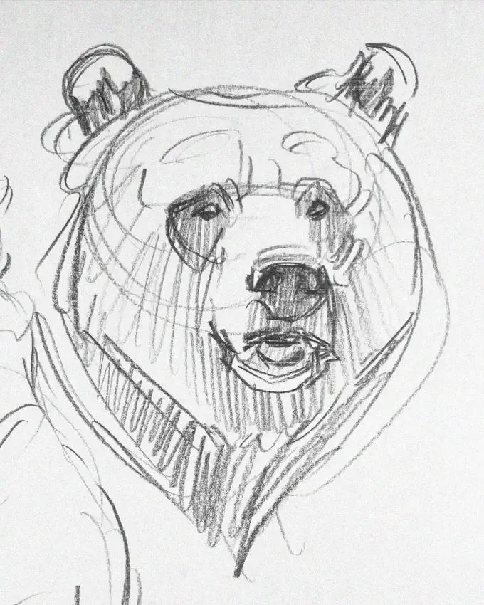 Intense Bear Profile in Pencil