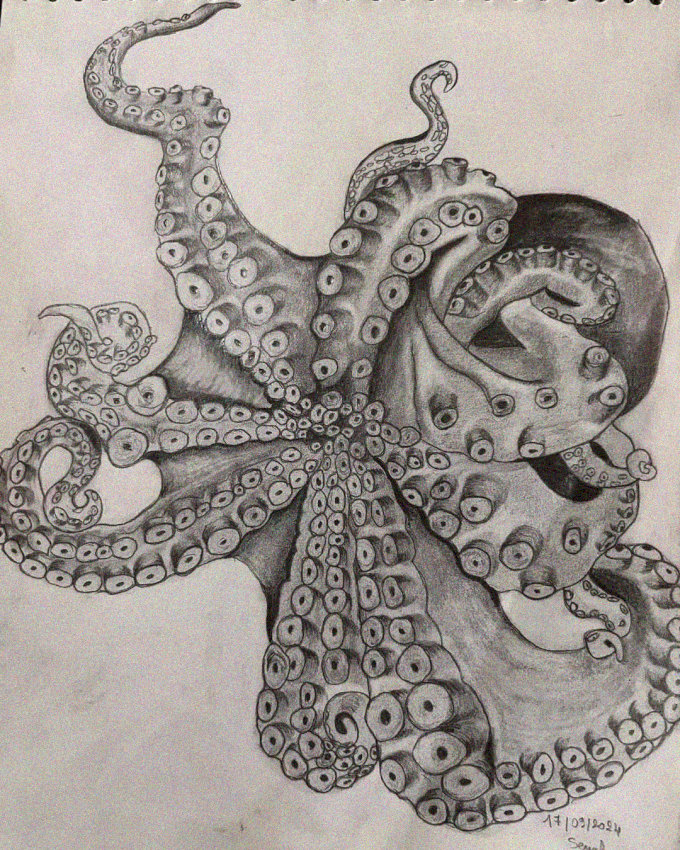 Octopus in Graceful Tentacle Dance