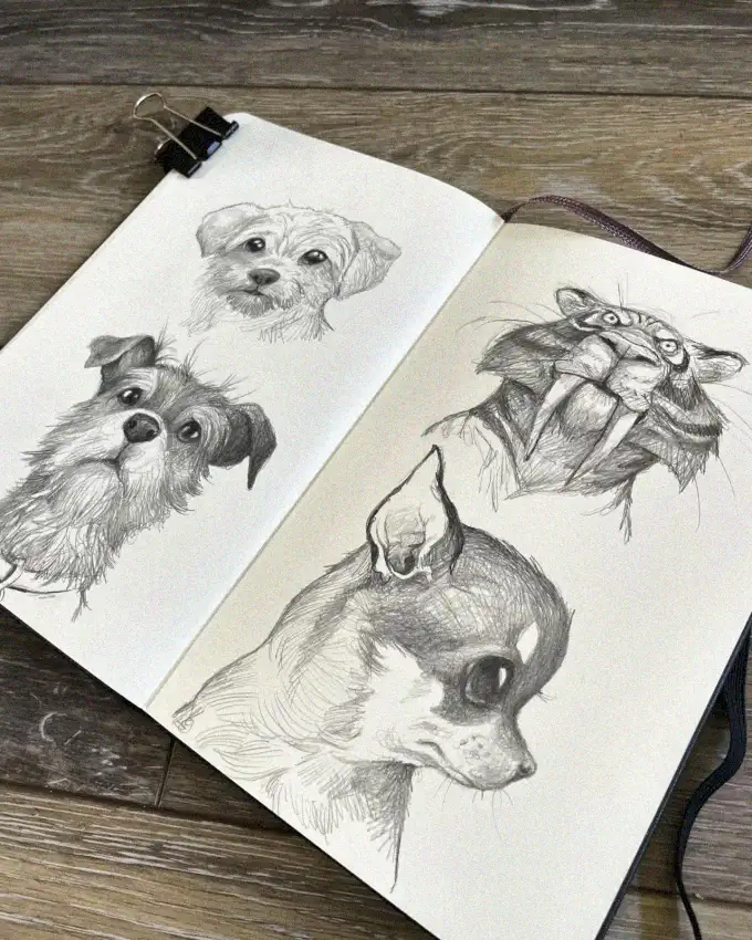 Pencil Portraits of Canine Companions and Rat