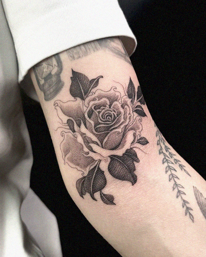 Black Rose Bloom on a Forearm