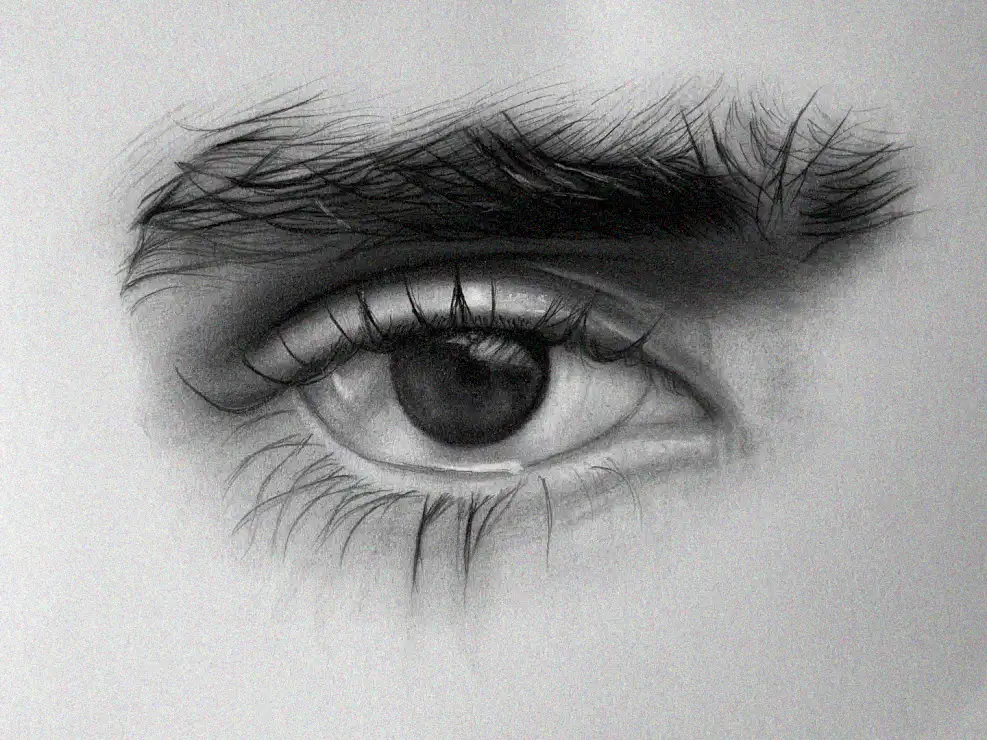 Monochrome Mastery in Human Eye Illustration