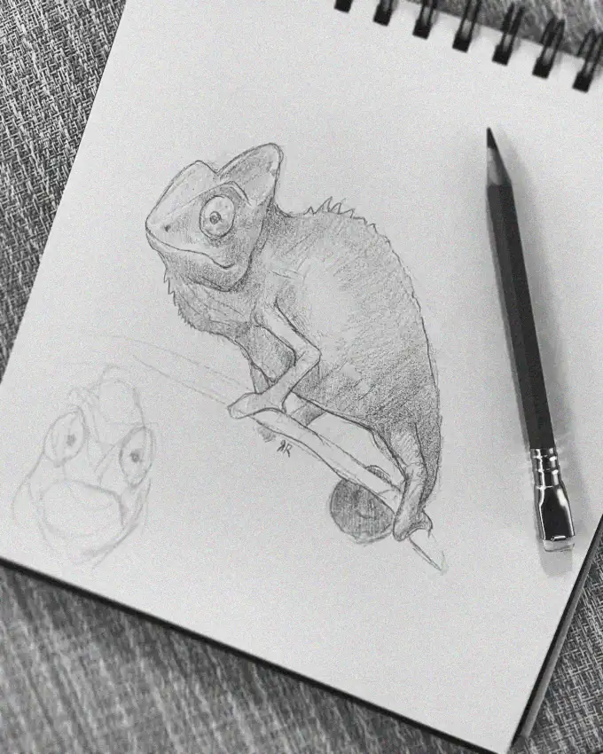 Chameleon Sketch Masterpiece in Progress
