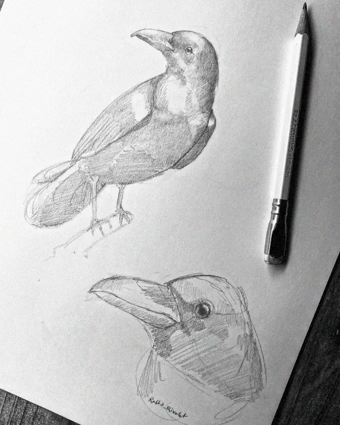 Feathered Friends in Pencil Sketch