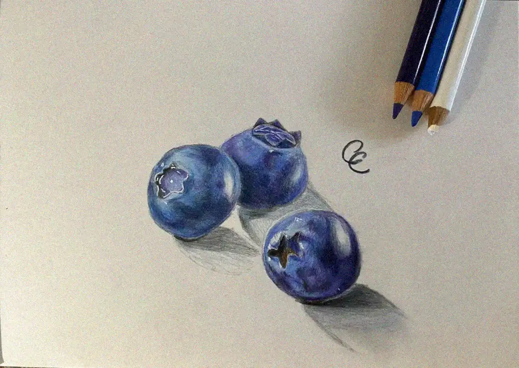 Blueberries Sketched in Vibrant Pencil Shades