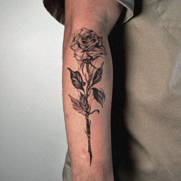 Rose Tattoo Unfolding on Forearm