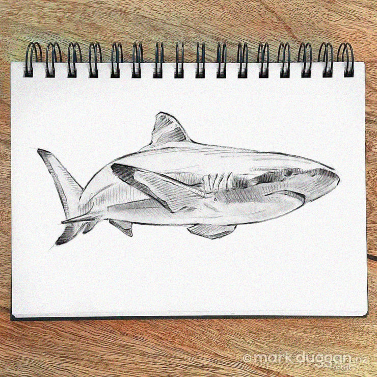 Spiral Notebook Sketch of a Shark