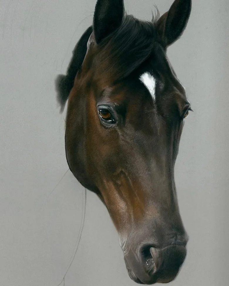 White-Marked Brown Horse Portrait