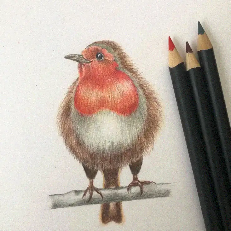 Portraying Vibrancy: A Bird Sketch Adventure