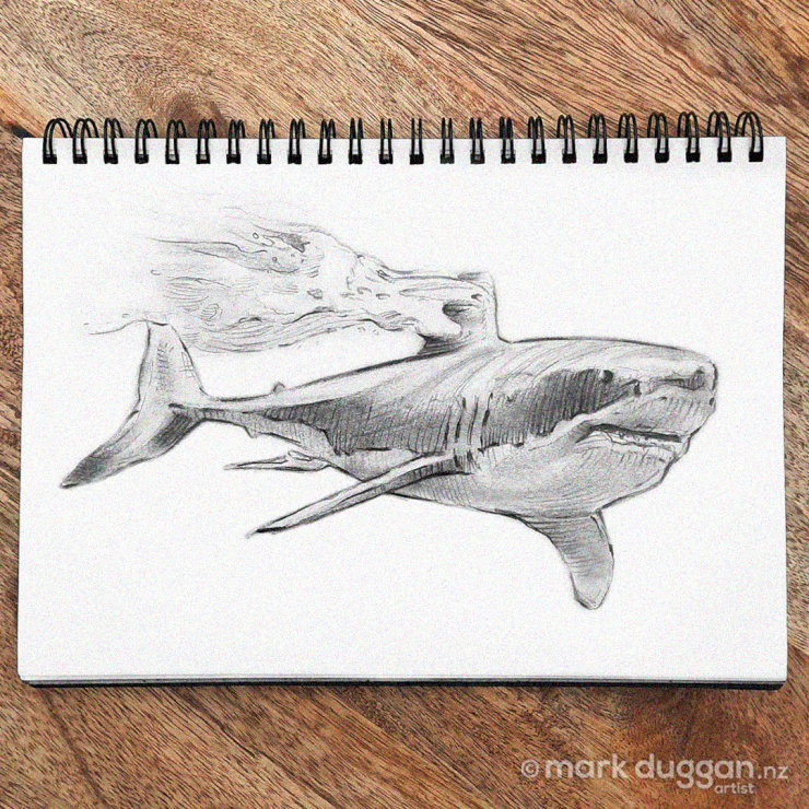 Hammerhead Sketch on a Spiral Notebook