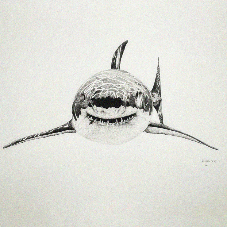 Grinning Great White with Human Embrace