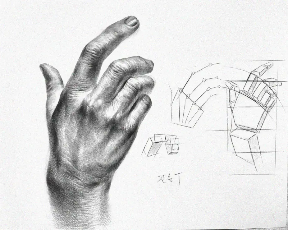 Capturing the Geometry of Human Gesture
