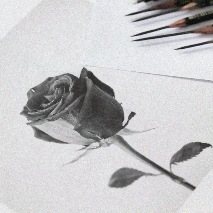 Charcoal Rose Amidst Pencil Fragments