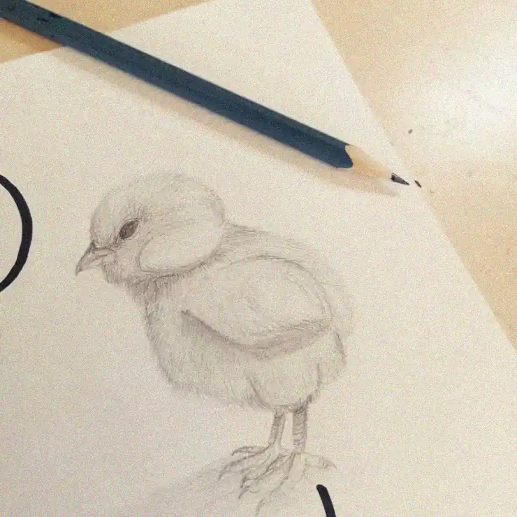 Chubby Chick Sketch with Idle Pencil