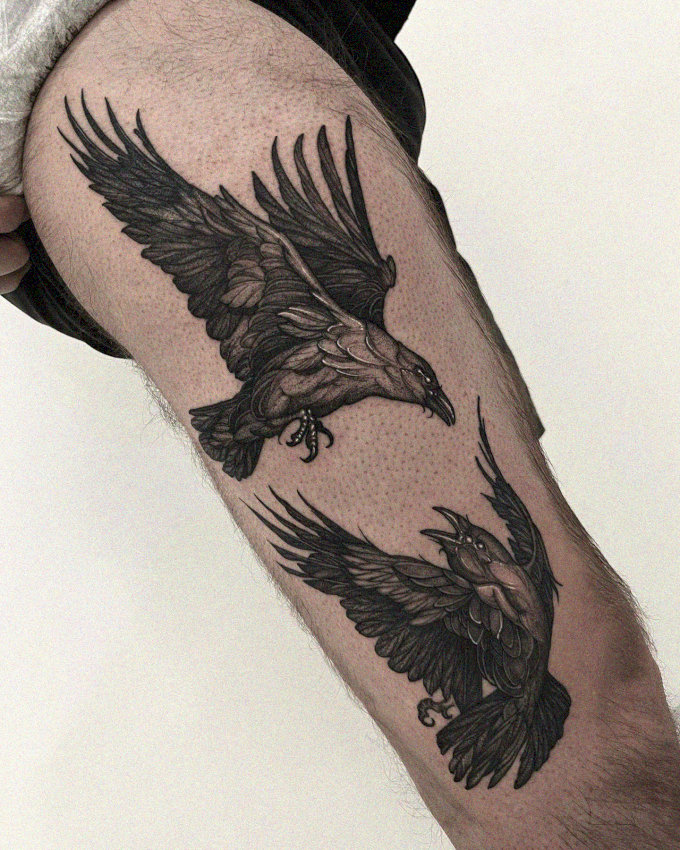 Ravens in Flight: An Inked Artistry