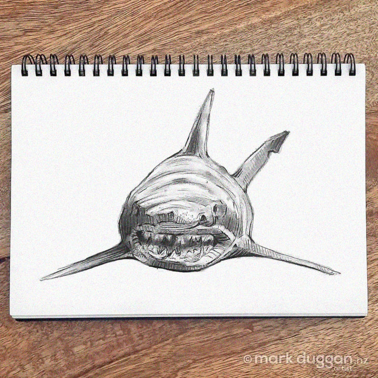 Sketchbook Shark Unveiled on Wooden Canvas