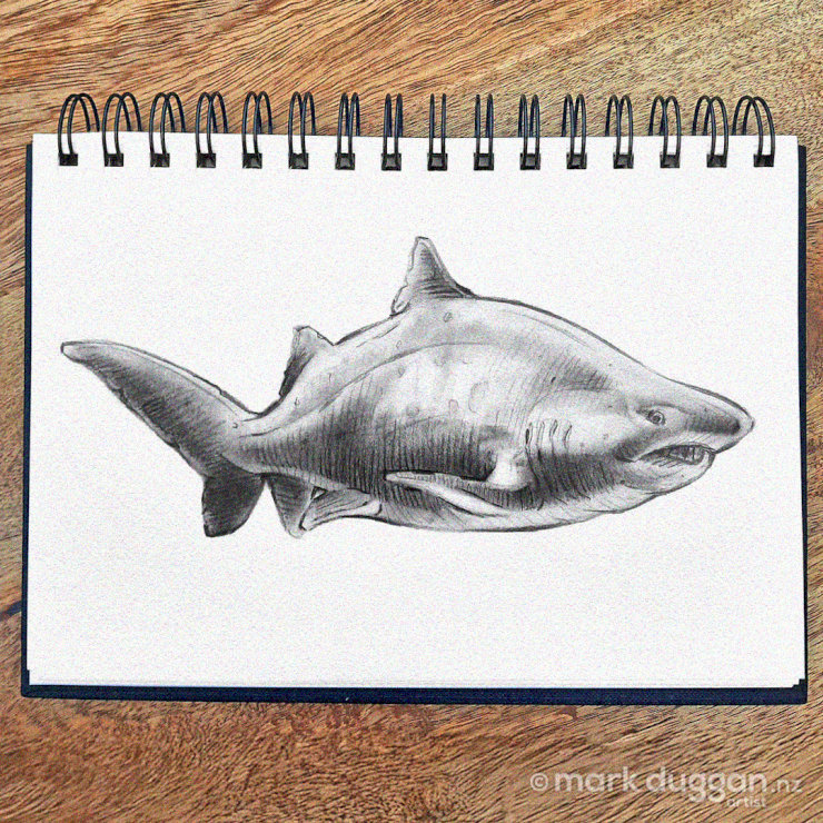 Shark Sketch on Spiral Bound Solitude