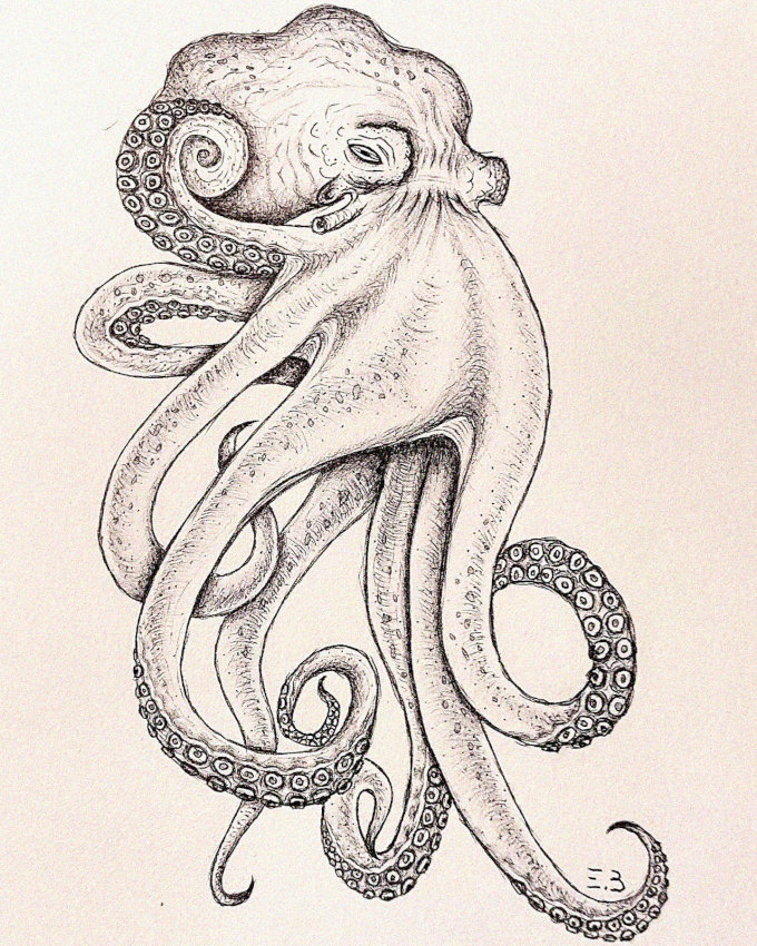 Octopus Sketch: An Intricate Underwater Dance