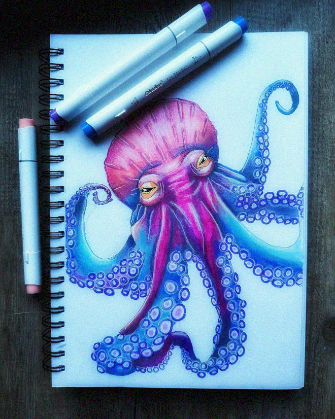 Octopus Sketch: A Burst of Creativity