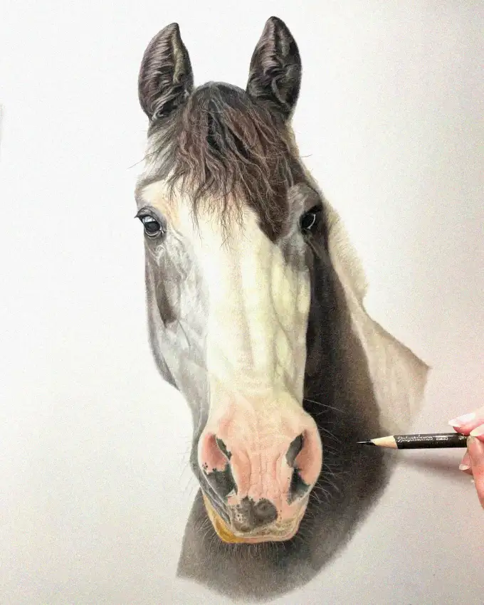 Sketching Equine Grace in Detail