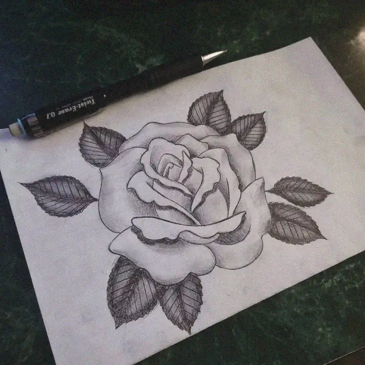 Artistry in Bloom: Rose Sketch and Pen