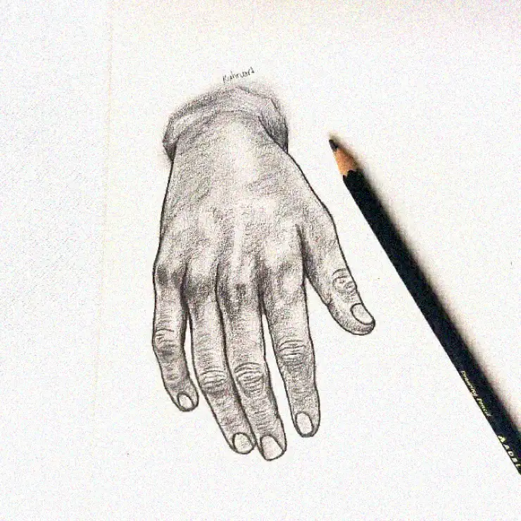 Pencil Amongst Illustrated Fingers
